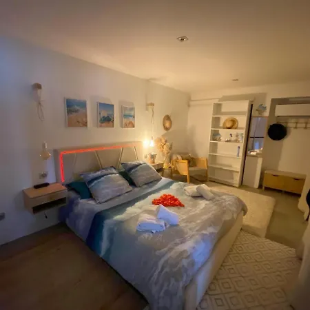 Avec Sauna Et Jacuzzi * Saint-Raphael (Var)