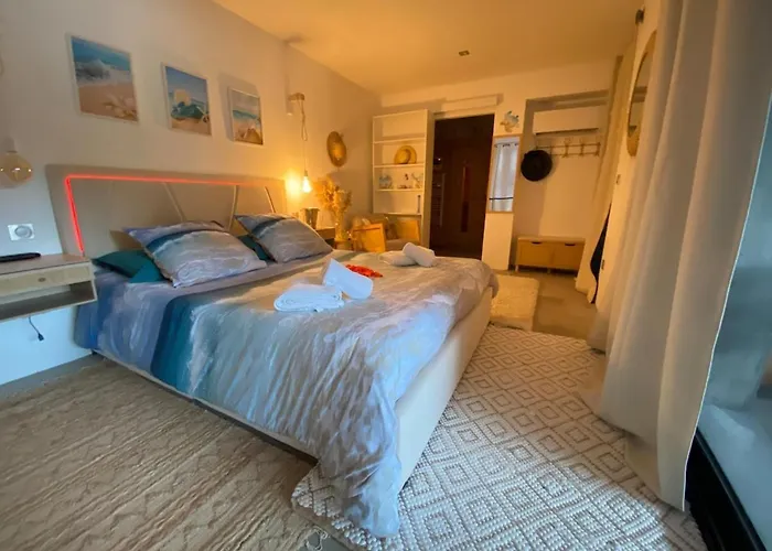 Avec Sauna Et Jacuzzi Apartment Saint-Raphael (Var)